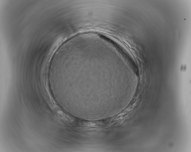 X0000092090241200709121518