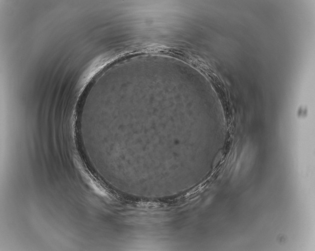 X0000092090242200709121518