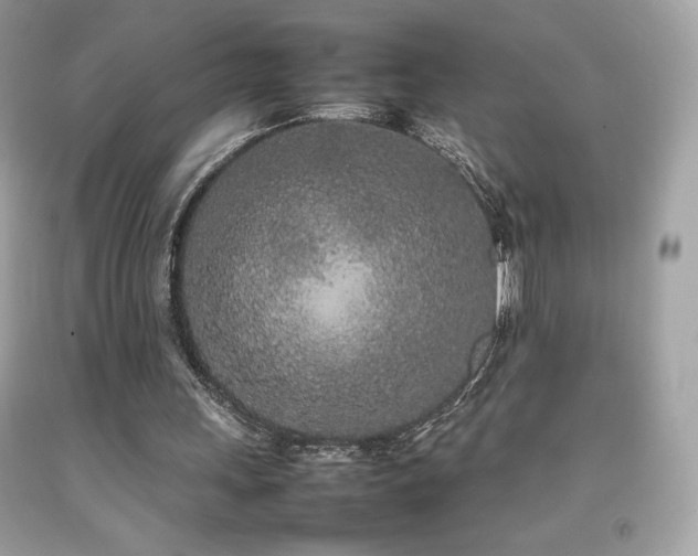 X0000092090243200709121518