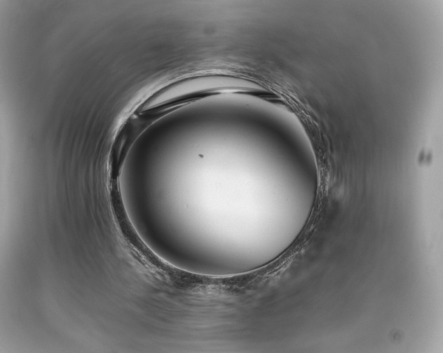 X0000092090244200709121518