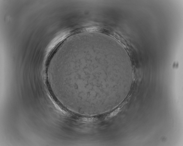 X0000092090245200709121518
