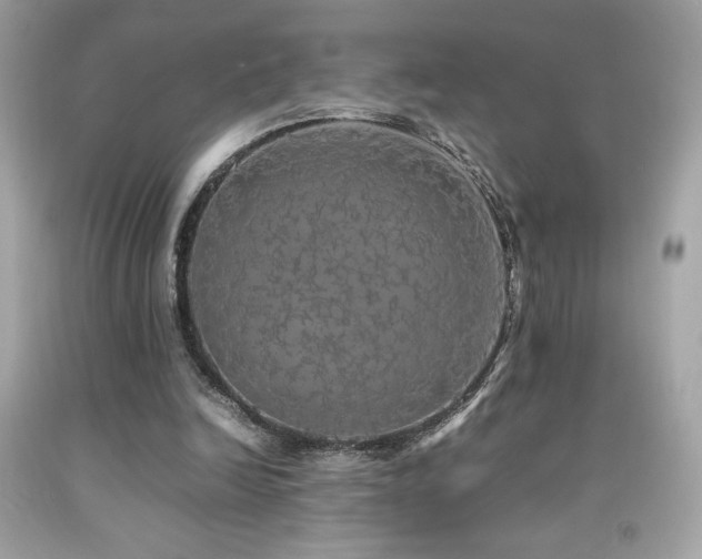 X0000092090246200709121518