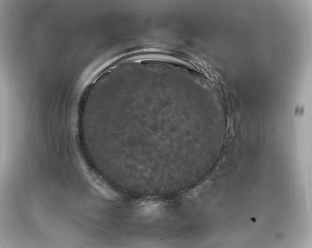 X0000092090247200709121518