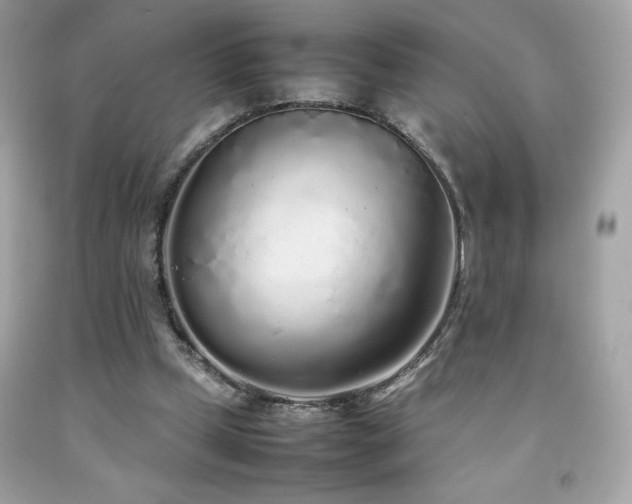 X0000092090249200709121518