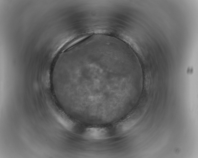 X0000092090251200709121518
