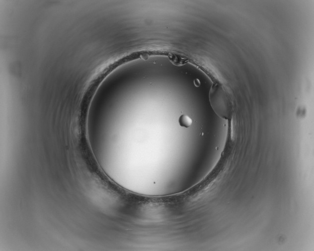X0000092090252200709121518