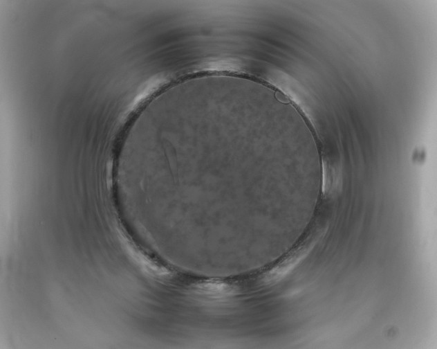 X0000092090253200709121518