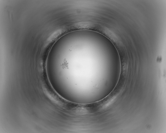 X0000092090254200709121518