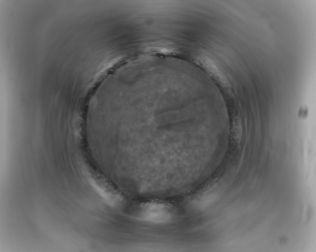 X0000092090255200709121518