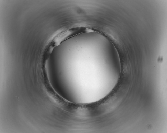 X0000092090256200709121518