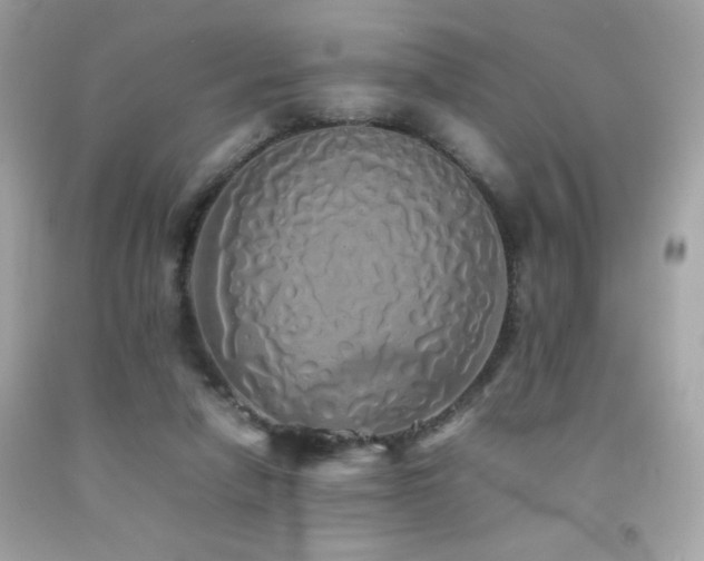X0000092090258200709121518