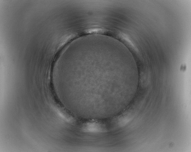 X0000092090259200709121518