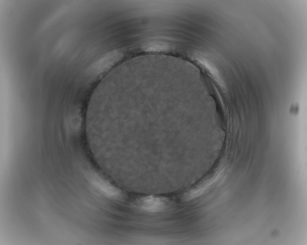 X0000092090261200709121518