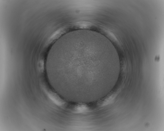 X0000092090262200709121518