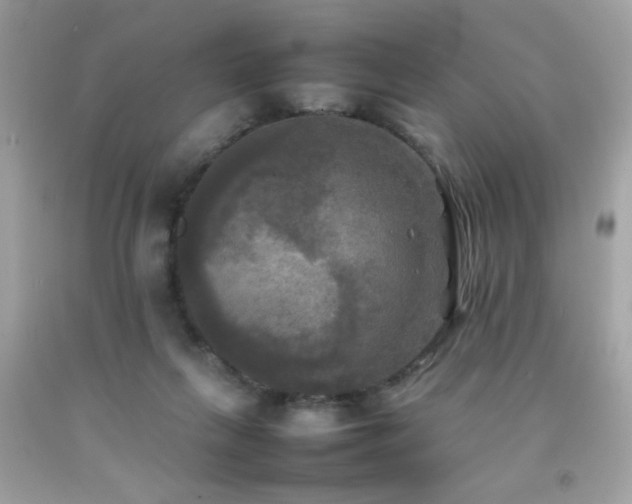 X0000092090263200709121518