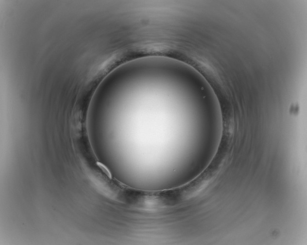 X0000092090264200709121518