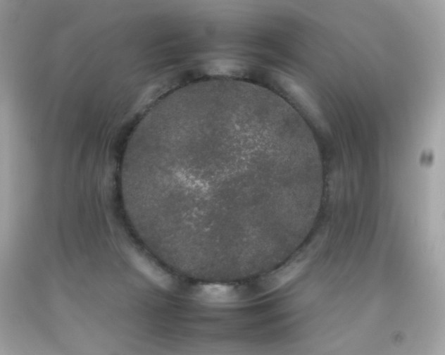 X0000092090265200709121518