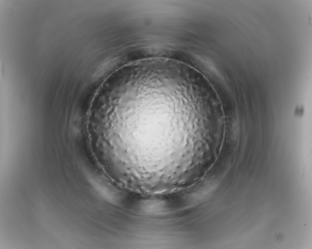 X0000092090266200709121518