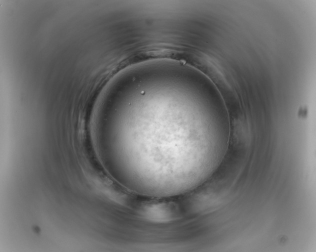 X0000092090267200709121518