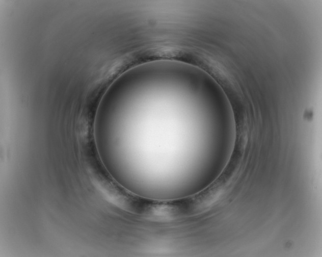 X0000092090268200709121518