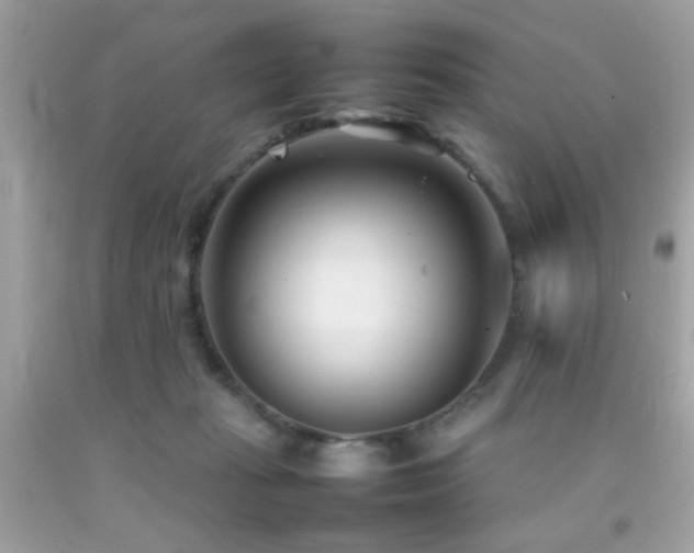X0000092090269200709121518