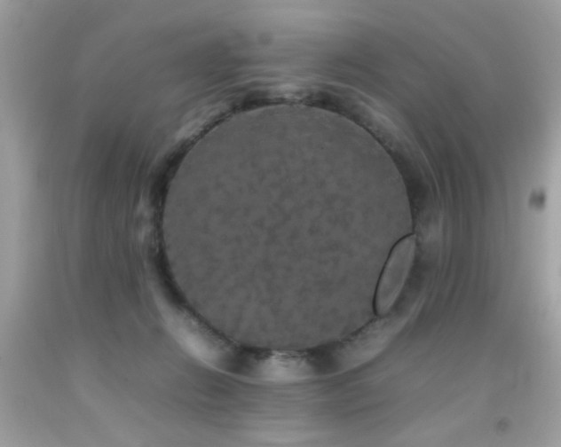 X0000092090270200709121518