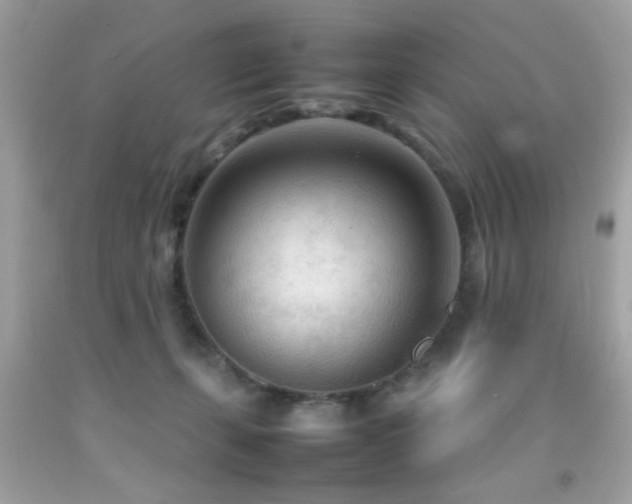 X0000092090271200709121518