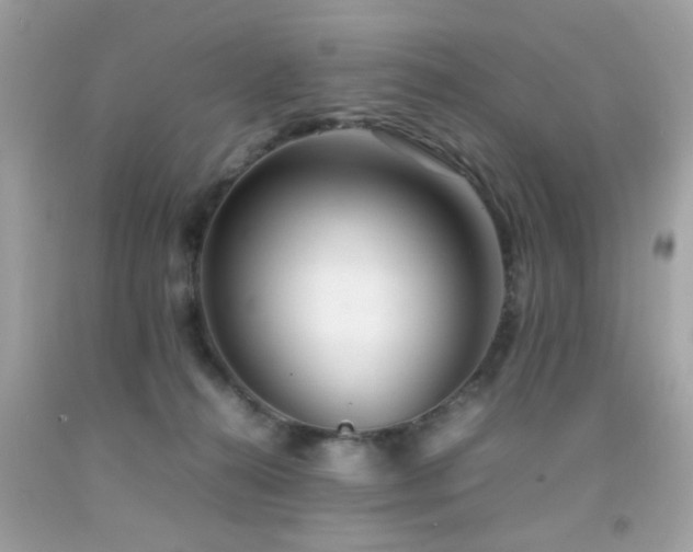 X0000092090272200709121518