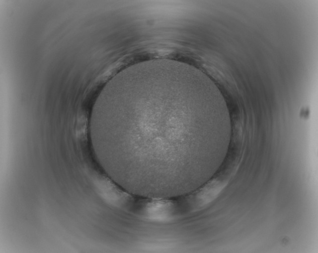 X0000092090274200709121518