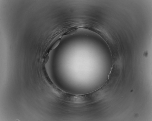 X0000092090277200709121518