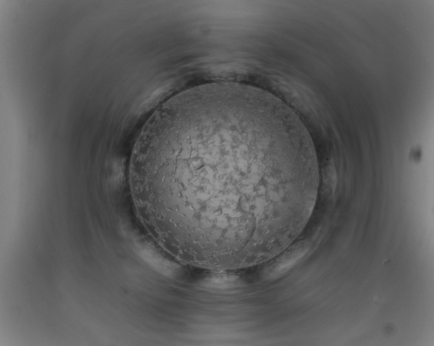 X0000092090278200709121518