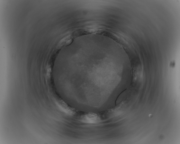 X0000092090279200709121518