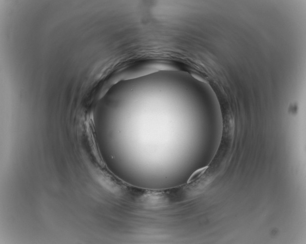 X0000092090280200709121518