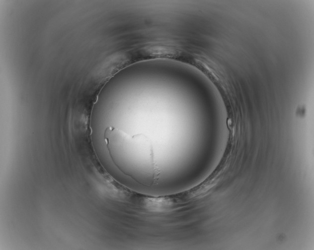 X0000092090281200709121518