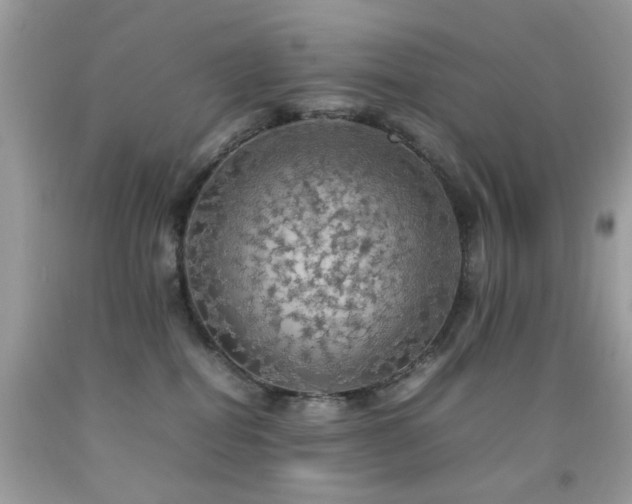 X0000092090282200709121518