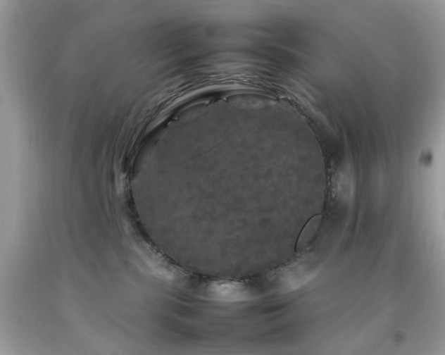 X0000092090283200709121518