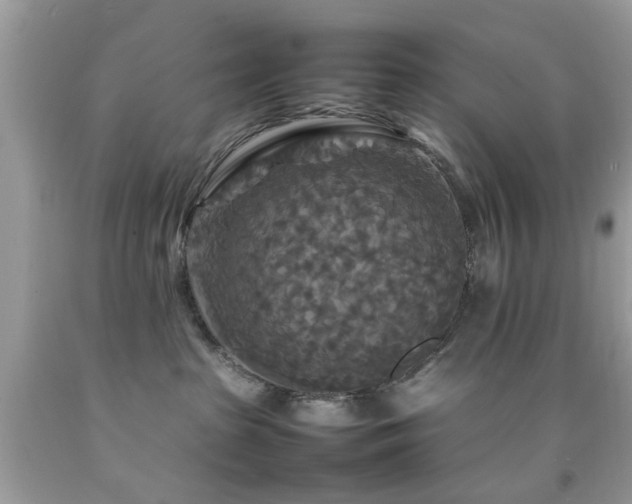 X0000092090285200709121518