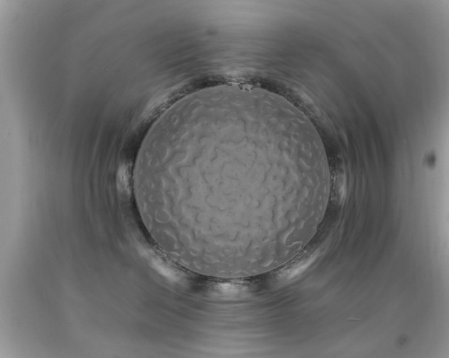 X0000092090286200709121518