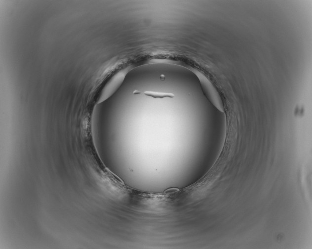 X0000092090288200709121518