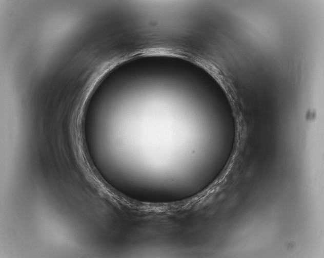 X0000092090289200709121518
