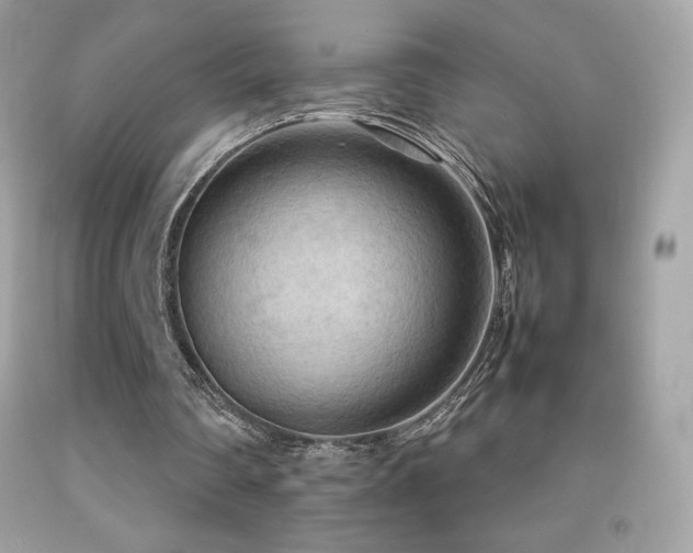 X0000092090290200709121518