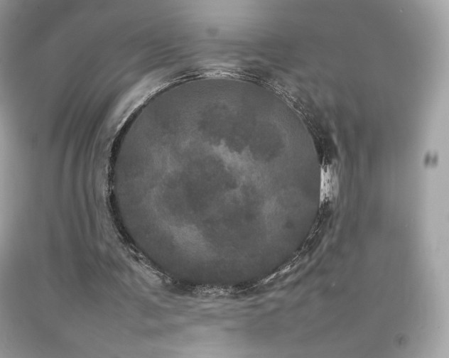 X0000092090291200709121518