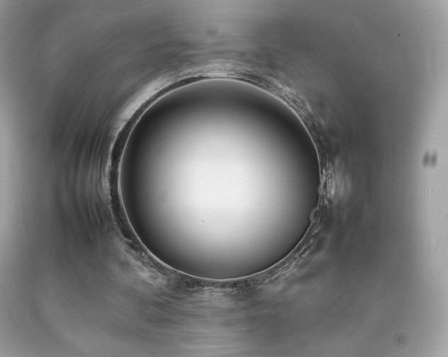 X0000092090292200709121518