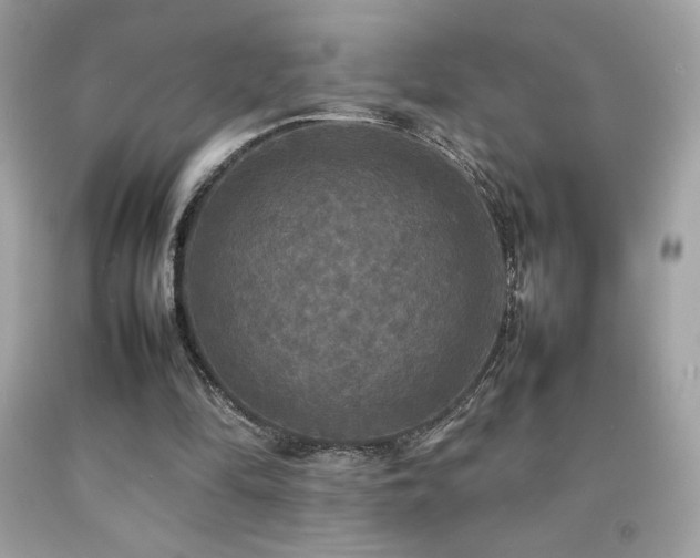 X0000092090294200709121518