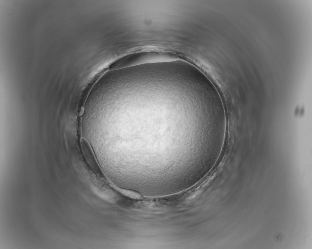 X0000092090297200709121518