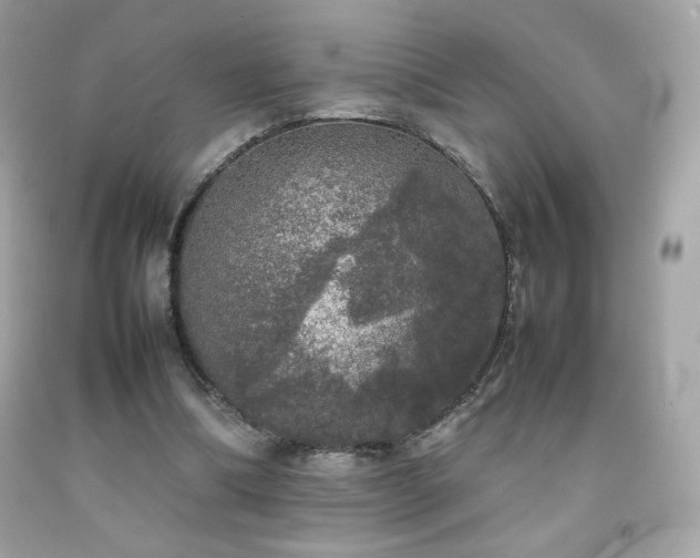 X0000092090298200709121518