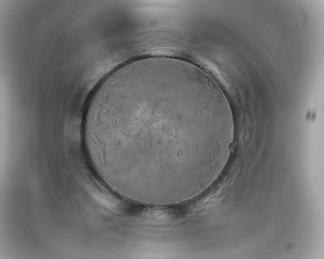 X0000092090299200709121518