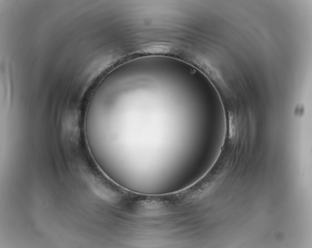 X0000092090300200709121518