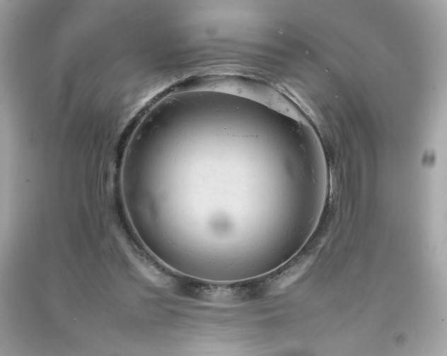 X0000092090301200709121518