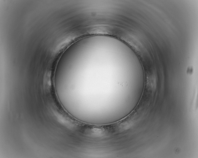 X0000092090302200709121518